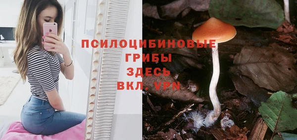 марки lsd Абаза