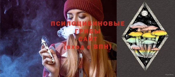 марки lsd Абаза