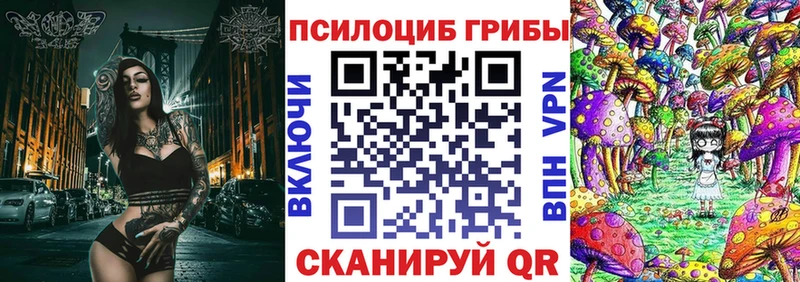 где найти наркотики  Котлас  Псилоцибиновые грибы MAGIC MUSHROOMS 